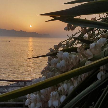 Loft In Balestrate Vicino Al Mare - Rental Beb Екстер'єр фото