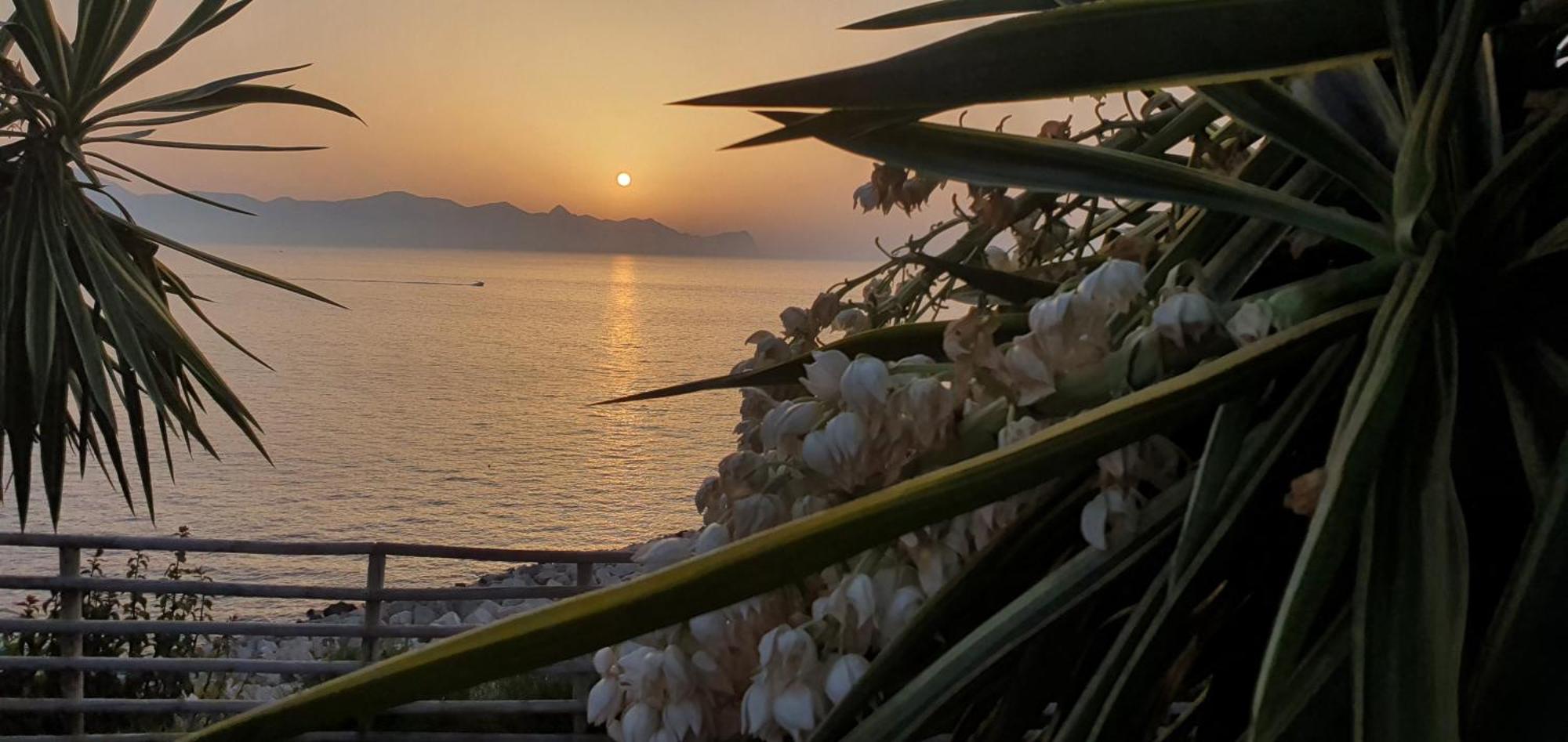 Loft In Balestrate Vicino Al Mare - Rental Beb Екстер'єр фото